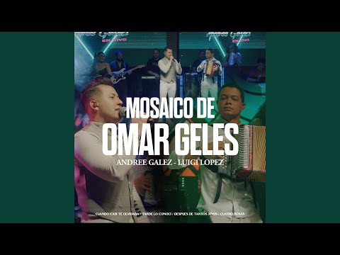 Mosaico Omar Geles: Cuando Casi Te Olvidaba / Tarde Lo Conocí / Después de Tantos Años /...