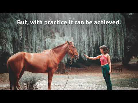 Mindfulness Day 1 Rebooting with Animals