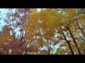 Turkish Instrumental Music