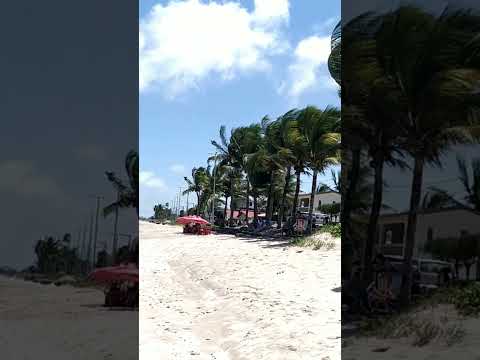 Beach FORMOSA - CABEDELO - PARAÍBA BRASIL#shorts#shortsfeed#shortsvideo#travel