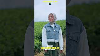 Download lagu Segera.. Janji Hanyo Di Muluik - Gienzany #skymusikdigital #minang #laguminang #gienzany mp3 Download lagu Segera.. Janji Hanyo Di Muluik - Gienzany #skymusikdigital #minang #laguminang #gienzany mp3