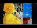 Sesame Street 1969 Big Bird Gotta Hurt From 2023 And 2003