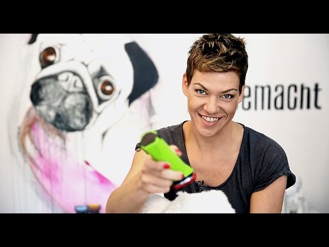 Миниатюра изображения товара Машинка для стрижки шерсти Moser Rex mini 1411-0060 / 1411-0062