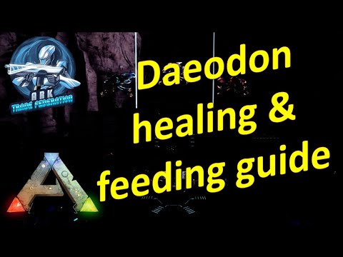 Daeodon healing & feeding guide| Ark Official PvE