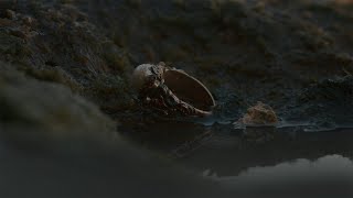 LIBERATO - NUNNEOVER