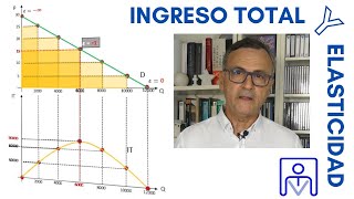 Miniatura de INGRESO TOTAL Y ELASTICIDAD: FIJACIÓN DE PRECIOS DE LAS EMPRESAS NO COMPETITIVAS