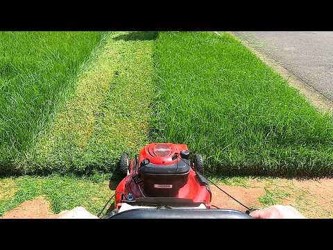 POV Lawn Mowing – Cutting Through Over 12" of Super Overgrown Grass with my TORO 🌱