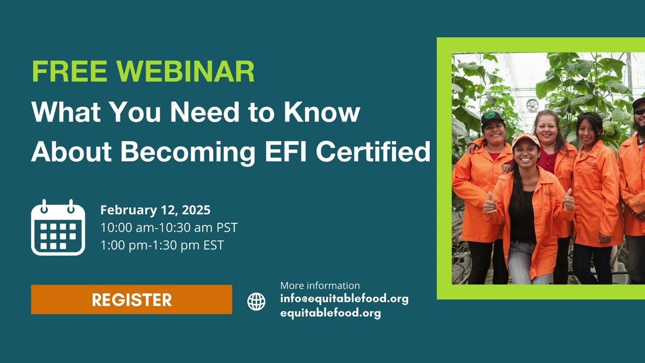 What You Need to Know About Becoming EFI Certified