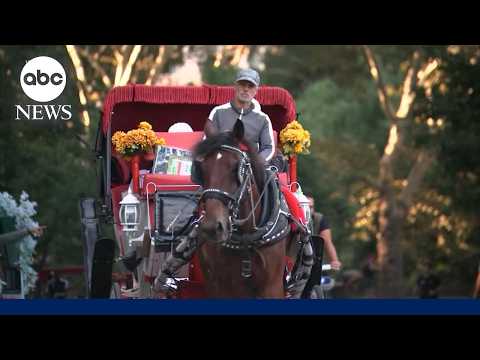 New York City to ban horse-drawn carriages in 2028, City Council speaker says