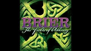 Brier - Finnegan's Wake [Audio Stream]