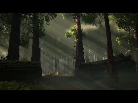 BIGFOOT Update 5.0 in Redwood is Awesome!!!