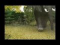 Jumanji