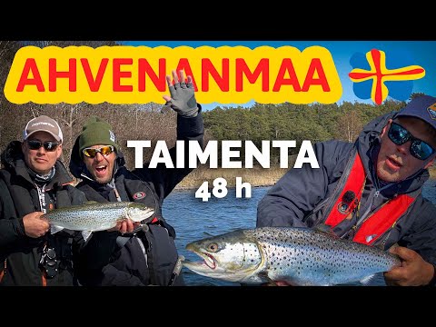 Suuri TaimenSeikkailu Ahvenanmaalla
