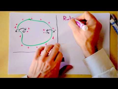 Conductors in Electrostatic Equilibrium | Rules for Electric Fields | Doc Physics
