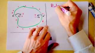 Conductors in Electrostatic Equilibrium | Rules for Electric Fields | Doc Physics