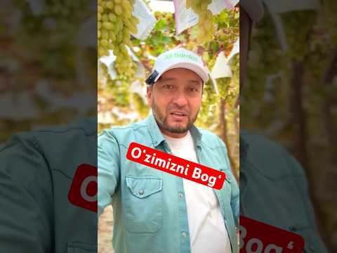 Biz qoʻrqmay Narxlarni aytib tashladik. #oltiariq #uzum