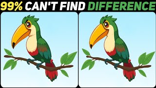 Only 3% Genius Can Find The 3 Differences 🥸