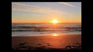 Pooh   oceano   cover   Milo Fontana