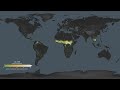 Carbon Emissions From Fires Jan 2003 Jan 2022