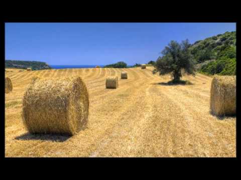 Xsector - Strange Weather (Original Mix)