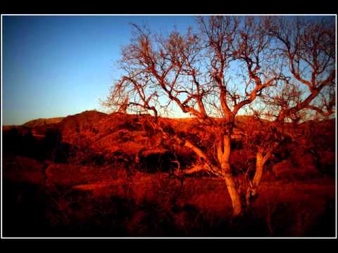 "SISTER N' ANGEL" ( original) by Julien Mangogna & The Howling ( France, 2006)