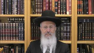 הרב אברהם יוסף שליט"א באיזה מצב יהיה אפשרי לברך שהחיינו בזמן בין המצרים