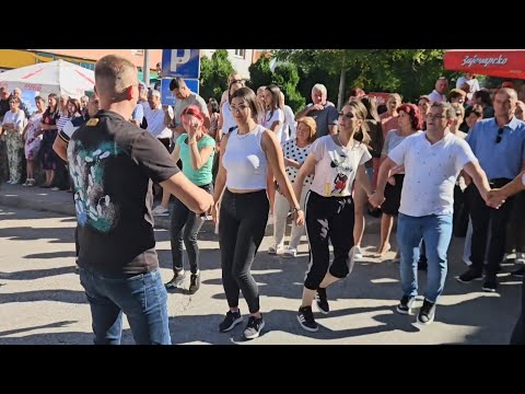 KOLO OD DJANIJA - ČAJNIČE MALA GOSPOJINA 2025 !!