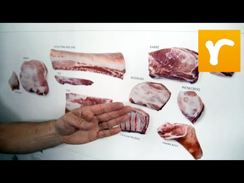 Mitt kök: Pulled pork och tips om griskött - TV4