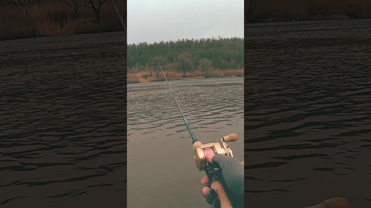 カルコン信者の一日