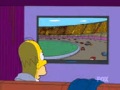 The Simpsons S17E15 Homer Simpson This Is Your Wife