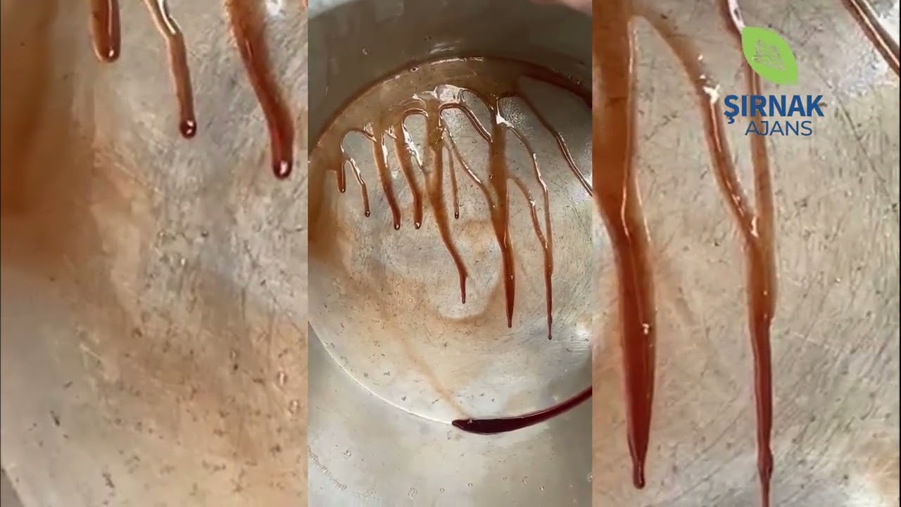 Mezrone üzümünün bağdan pekmeze yolculuğu başladı