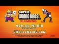 Super Wario Bros Plumbing 2 0
