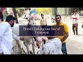How To Treat Horse Choking Constipation Line Of Treatment Of Horse Colic
