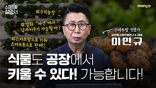 작물도 아파트처럼 키운다!?|스마트팜 설명서 EP. 18