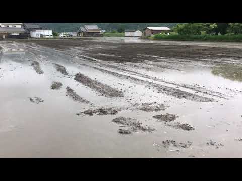 代掻きの為の水なかなか入りません😭 【AM end】 2020　0614
