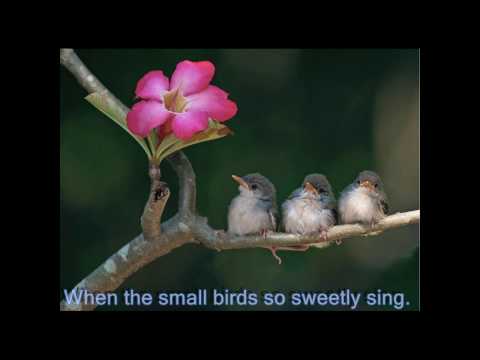 Seeds of Love - Loreena McKennitt