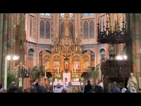 Vidi Aquam (Choir, Congregation and Organ)