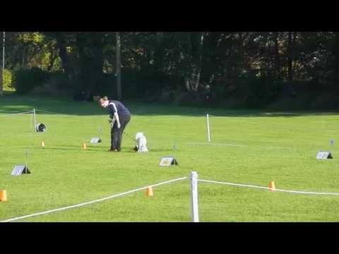 Rallylydnad Växjö BK 20141005