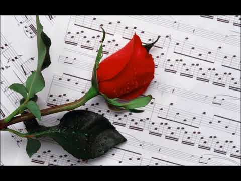 RUŽA - MAHMUT ALAGIĆ