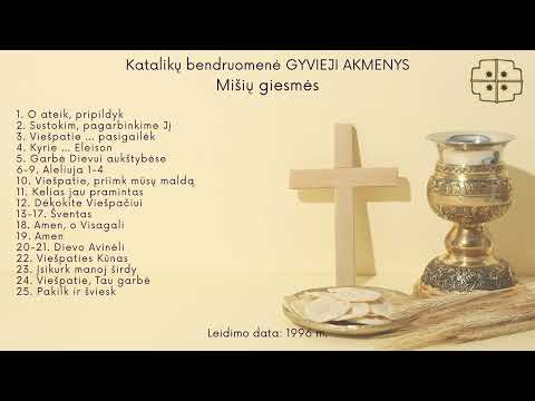 25  Pakilk ir šviesk