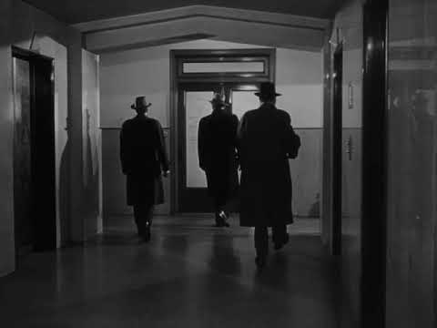 eNox "BOLERO" produced IRIE 1