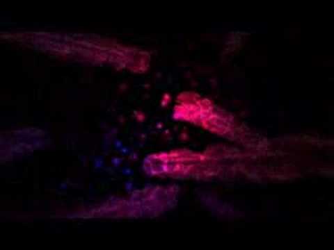 SynSUN - White & black