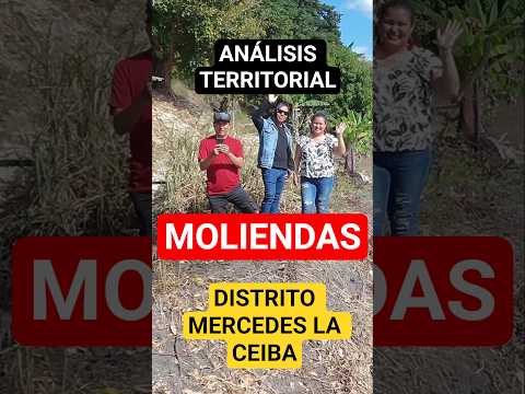 ESTUDIO GEOGRÁFICO Y TERRITORIAL DEL DISTRITO MERCEDES LA CEIBA, LA PAZ. (TOTAL 632 HABS)
