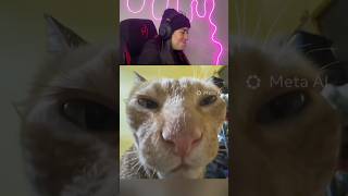 Tente Não Rir Desafio 1377 🤣 #funny #humor #viral