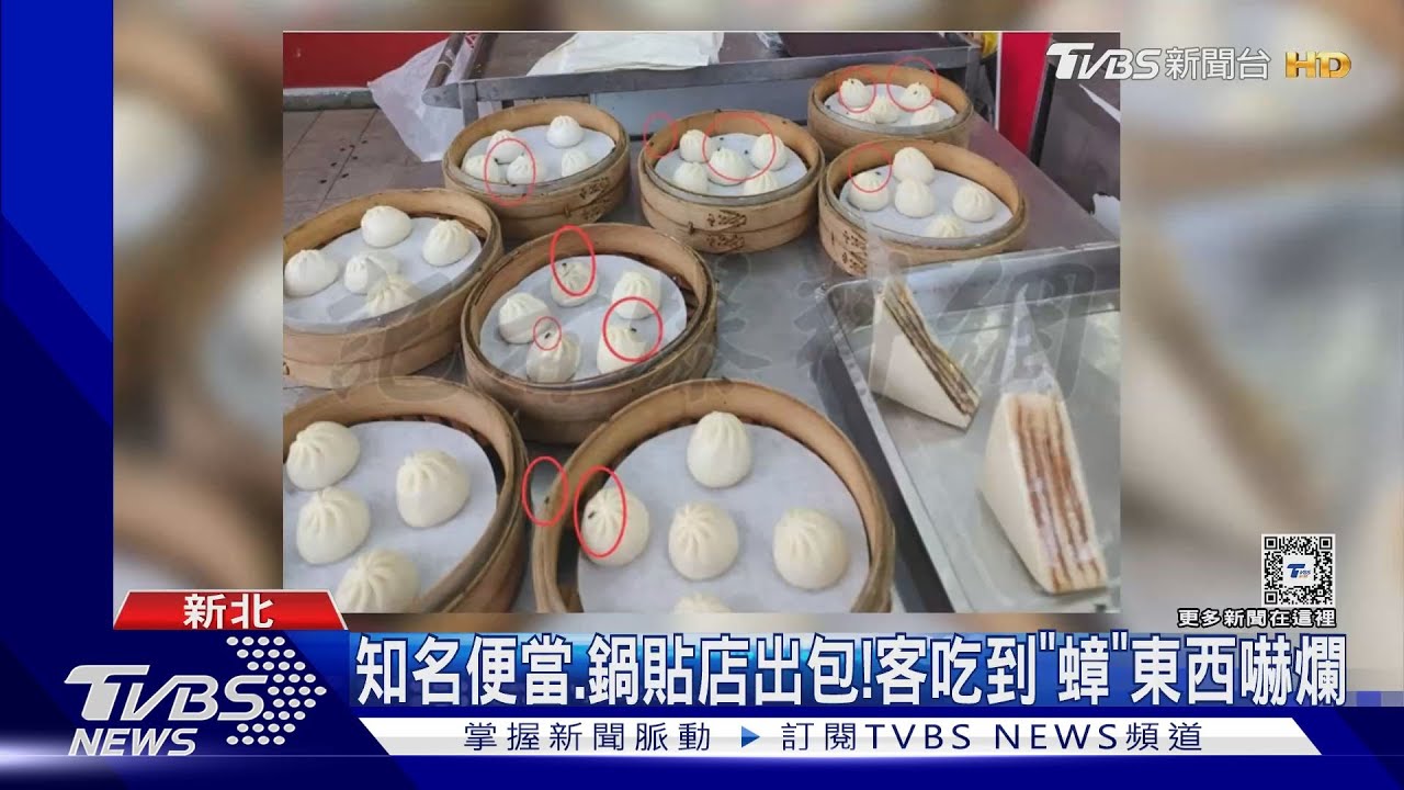名店紛出包!小籠包停8隻蒼蠅 還有客吃到「蟑東西」