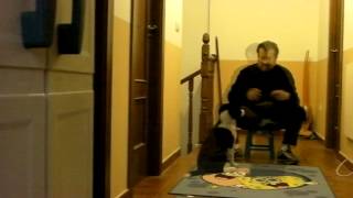preview picture of video 'Astro el perrito que habla...'