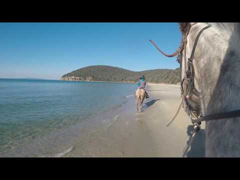 Galoppare in spiaggia