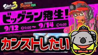 ビッグランでカンストしたいコアラ【Splatoon3】
