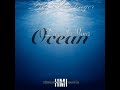 Trlz TheSinger Dive In Your Ocean