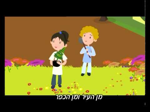 כך הולכים השותלים